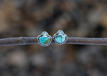 Floret Studs - Hubei Turquoise