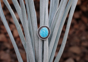 Echo Ring - Nevada Turquoise - Size 10