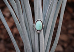 Mini Arch Ring - Nevada Turquoise - Size 9