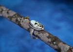 Starburst Ring - Butterfly Wing Variscite - Size 8